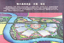 Evergrande Group Modern intelligent Agriculture Demonstration Park